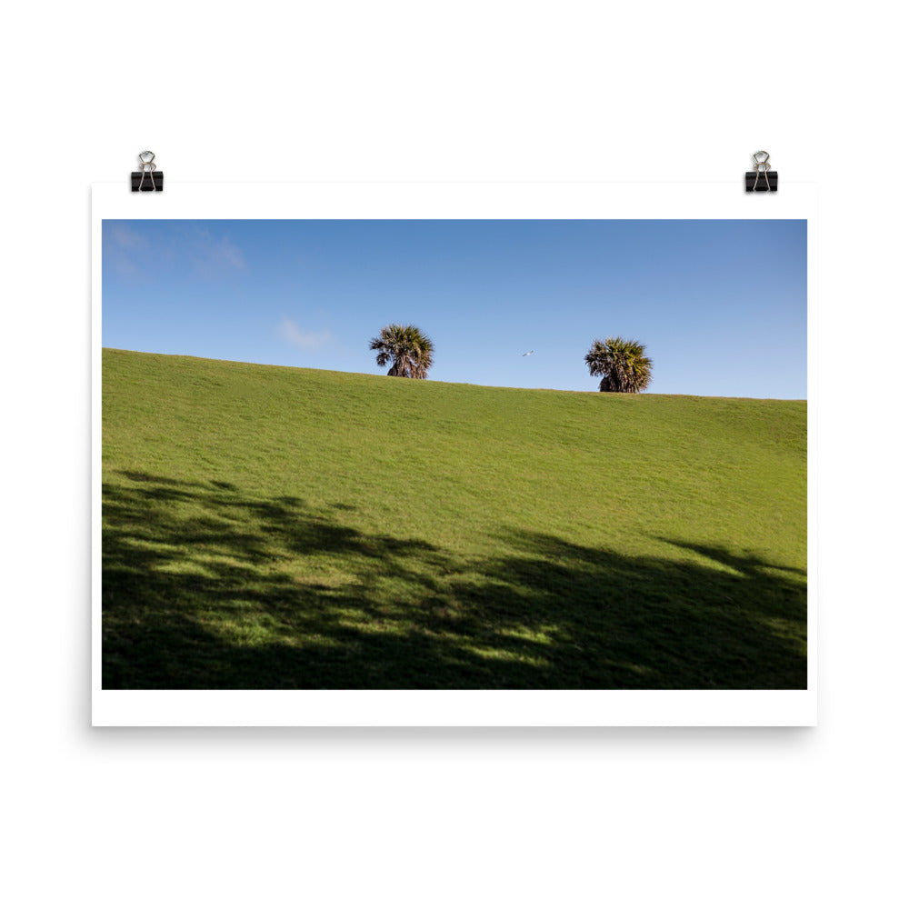 Wall art color photography print poster of palm trees in a hill on a park in Miami Florida