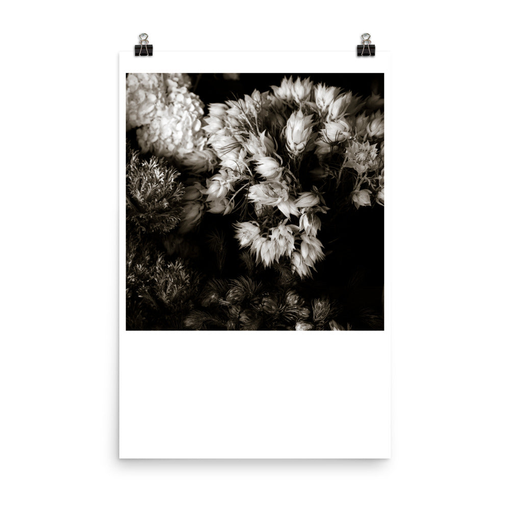 Wall art photography print poster of black and White flowers