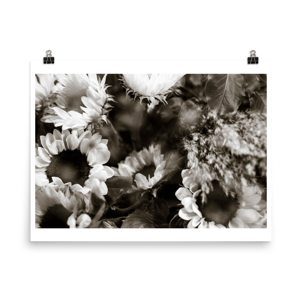 Wall art photography print poster of sunflowers in black and white.