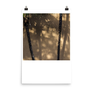 Wall art color photography print poster of coconut tress and shadows in Mexico