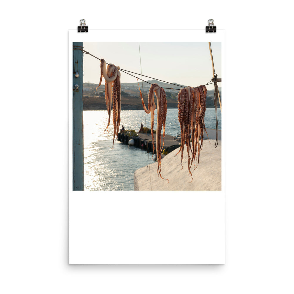 Wall art color photography print poster of octupus drying under the sun in a fishermen villa in Mykonos Greece.