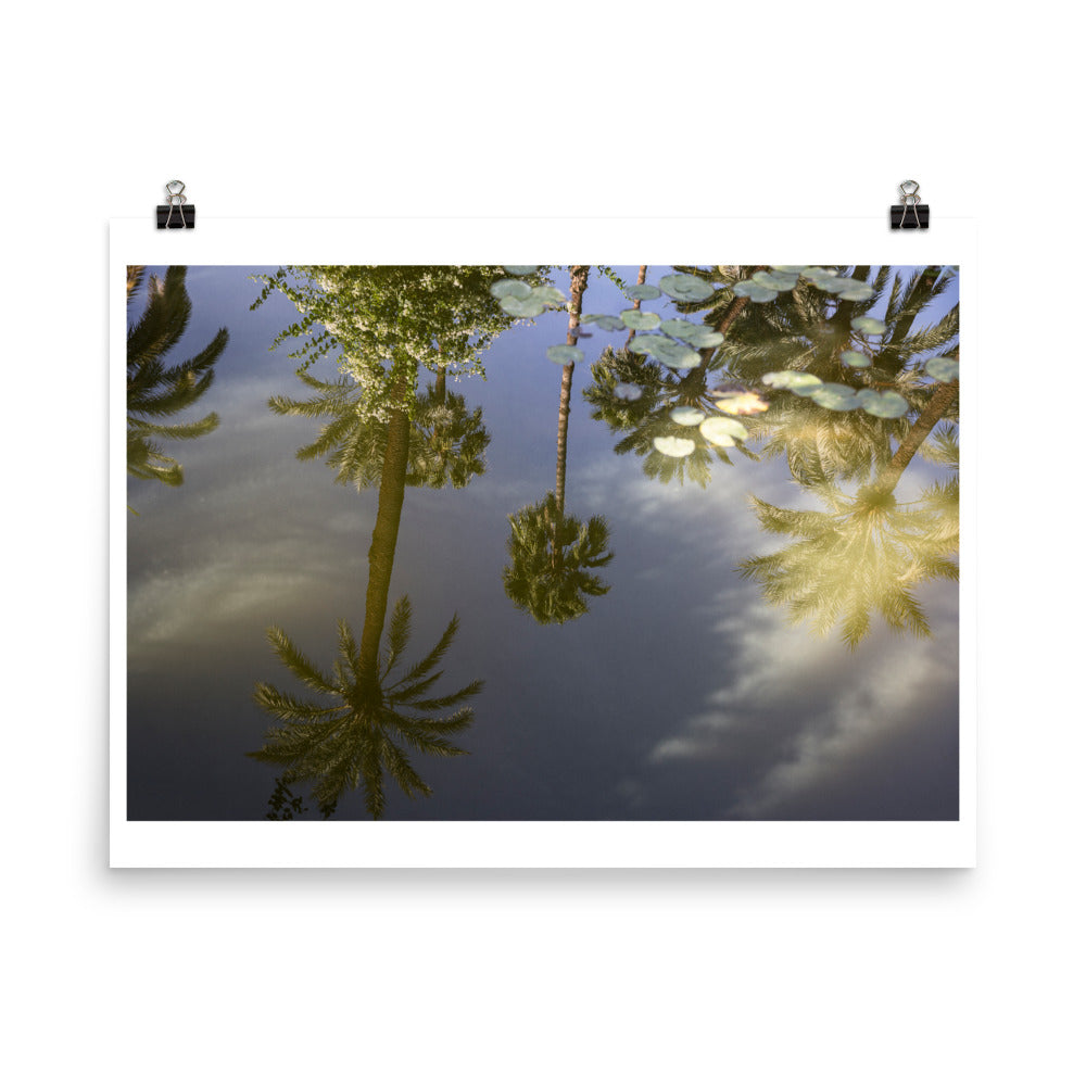 Wall art color photography print poster of palm trees reflection on water at Jardin Majorelle, Marrakech Morocco