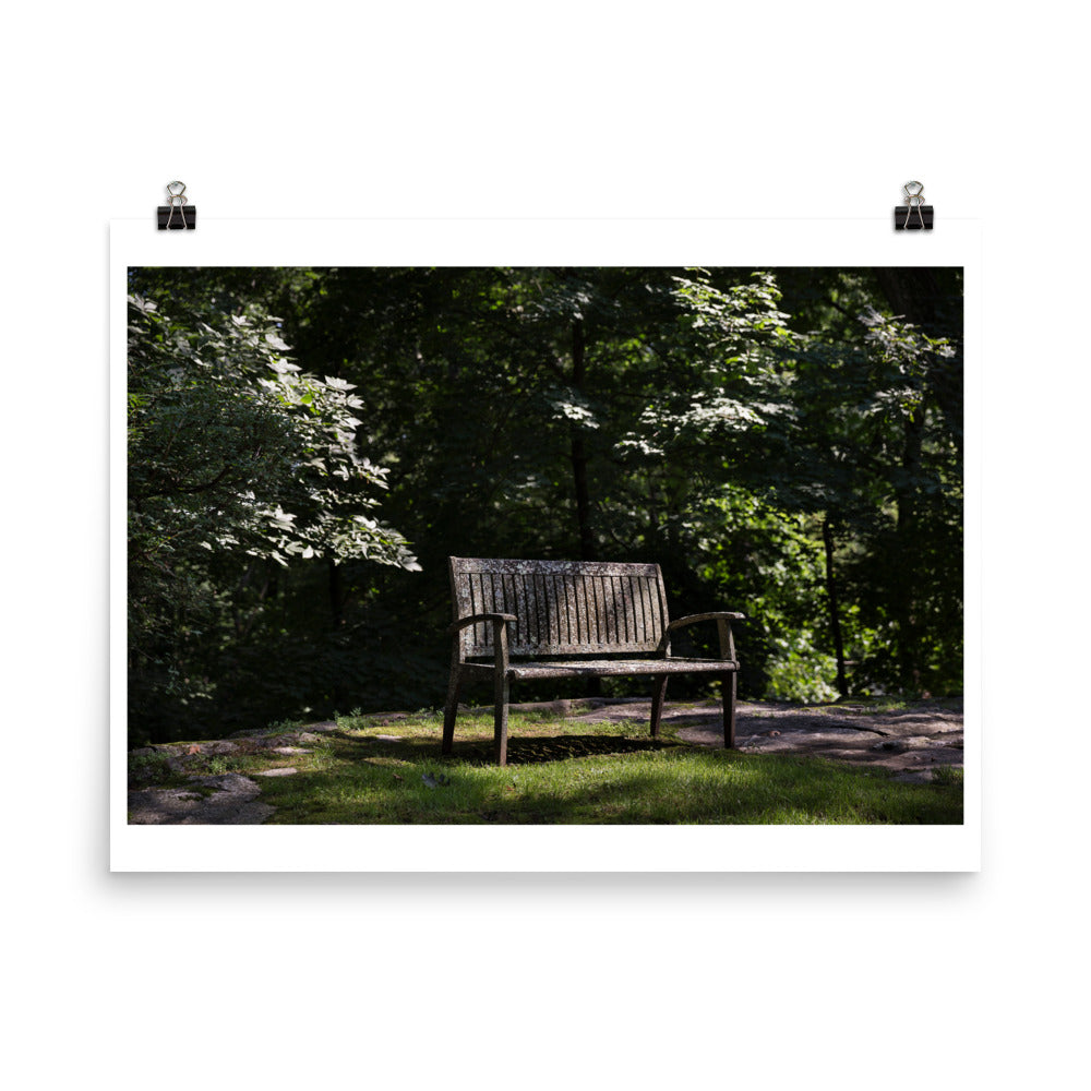 Wall art photography print poster of wooden bench in a garden in Connecticut