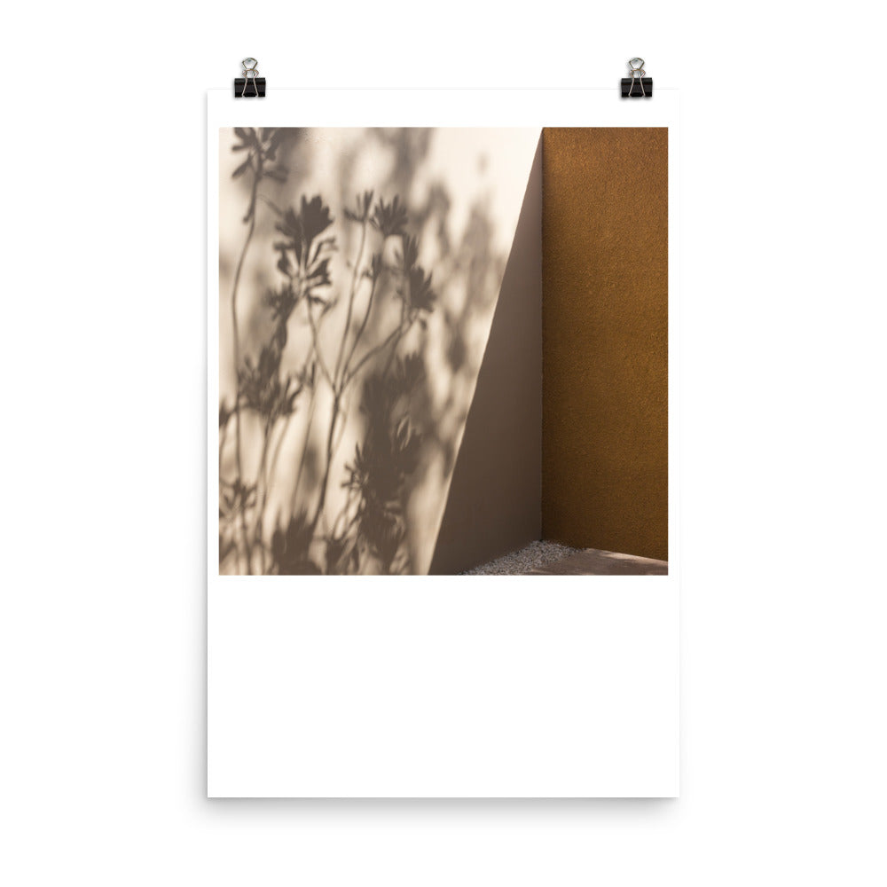 Wall art color photography print poster of a tree shadow in Mexico