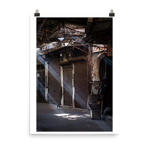 Wall art color photography print poster of a cat on the streets of the Souk in Marrakech Morocco