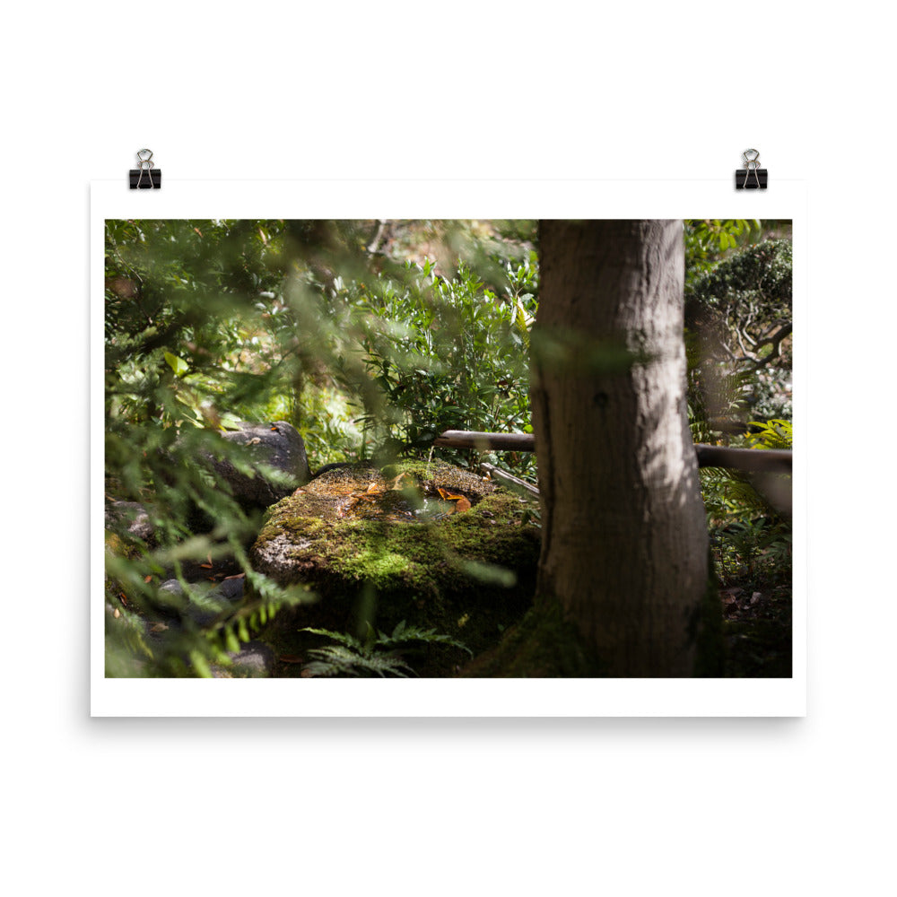 Wall art color photography print poster of a bamboo water fountain in a japanese garden in Tokyo Japan