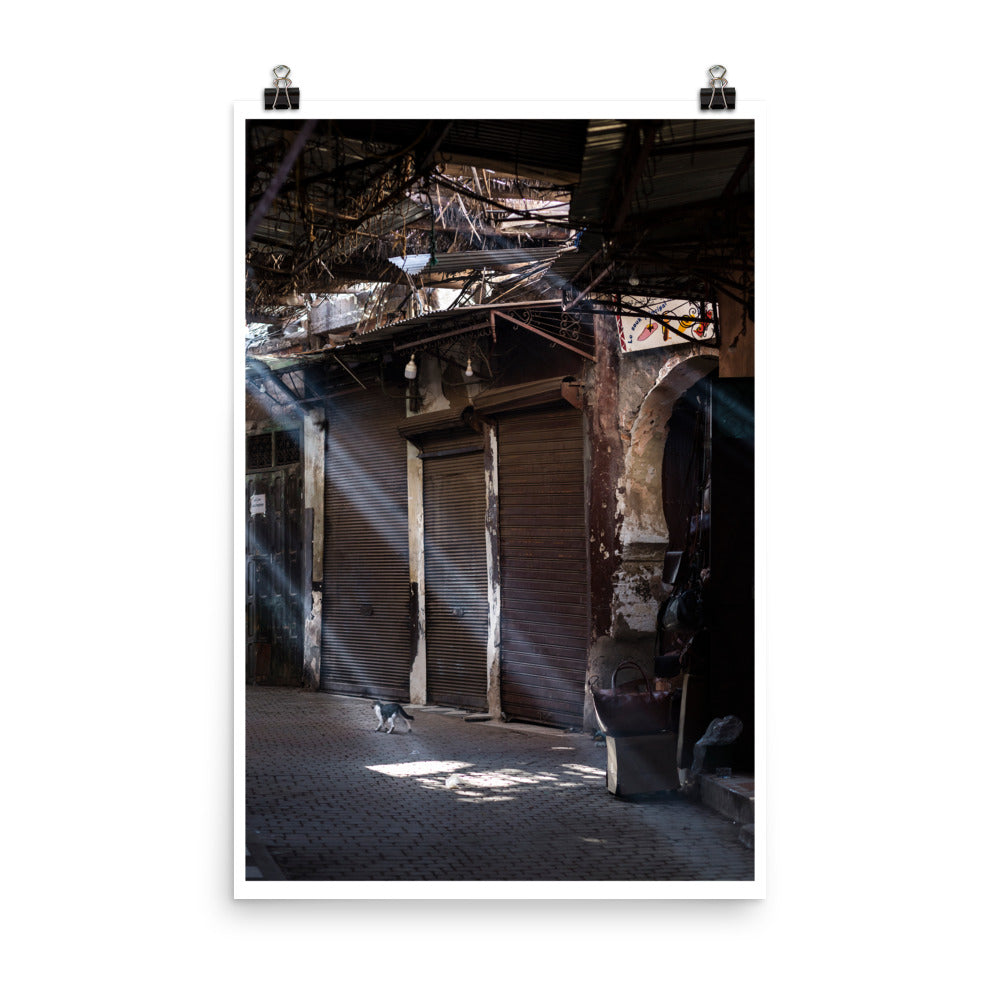 Wall art color photography print poster of a cat on the streets of the Souk in Marrakech Morocco