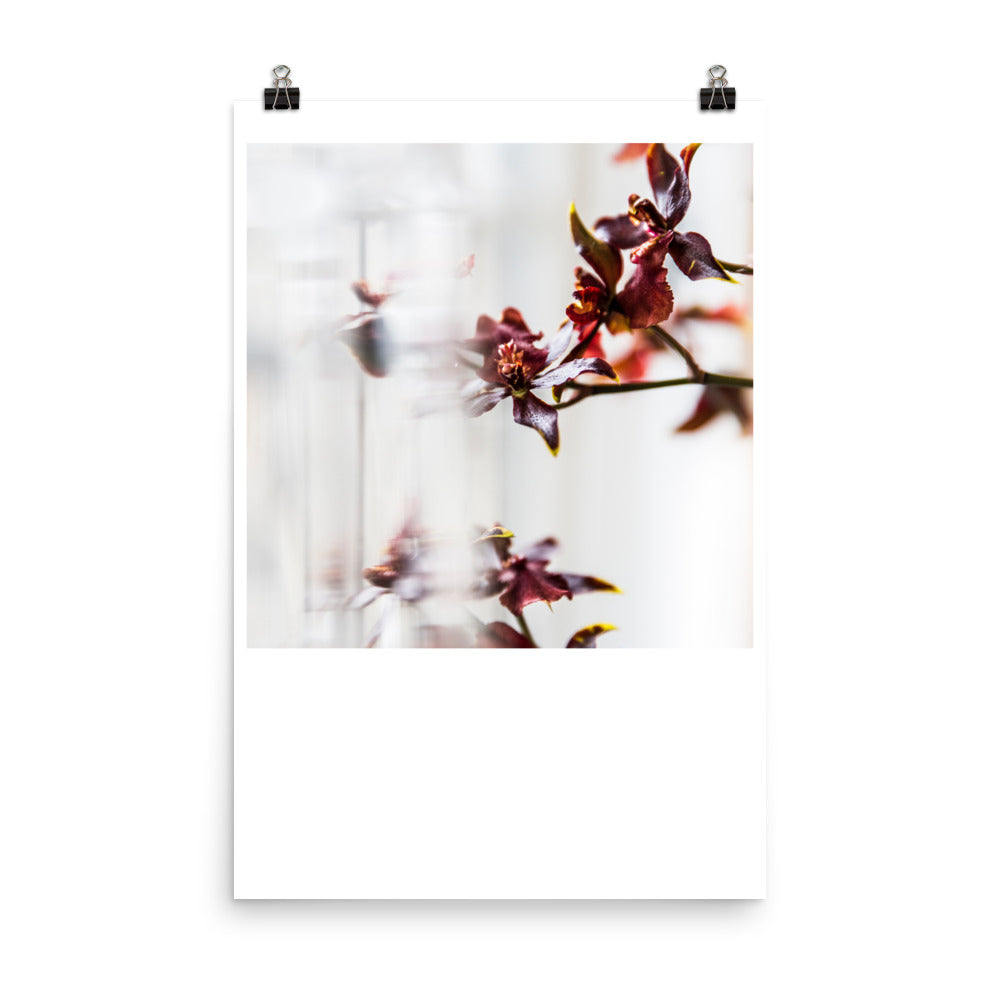 Wall art photography print poster of red and yellow orchids