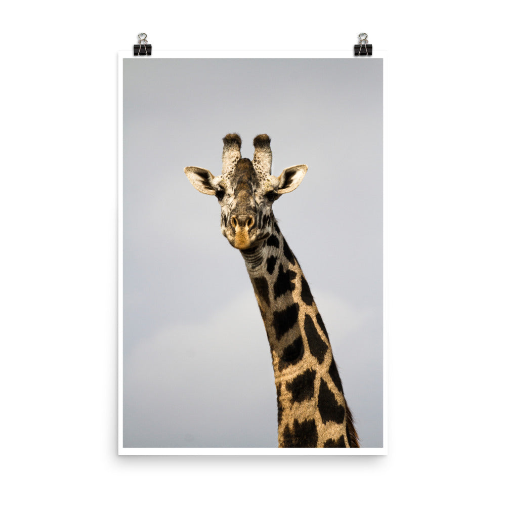 Wall art color photography print poster of a Giraffe in Kenya Africa