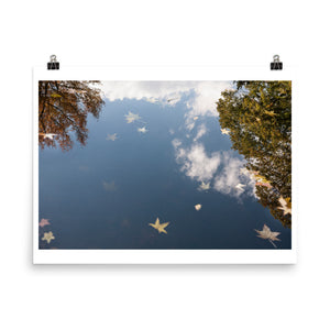 Fall Autumn leaves on a lake in Connecticut USA