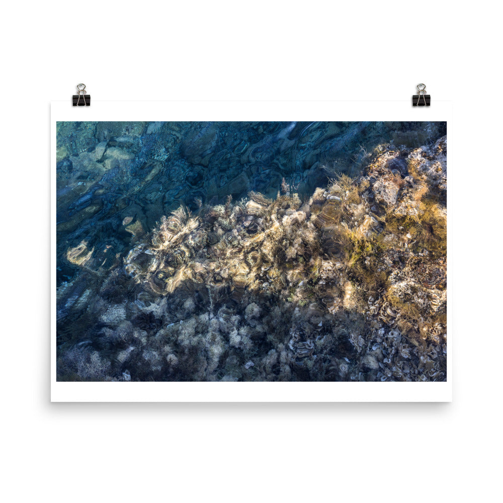 Wall art color photography print poster of algae and shells underwater in the ocean on Ftelia Beach in Mykonos Greece