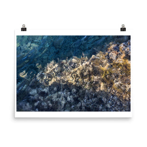 Wall art color photography print poster of algae and shells underwater in the ocean on Ftelia Beach in Mykonos Greece