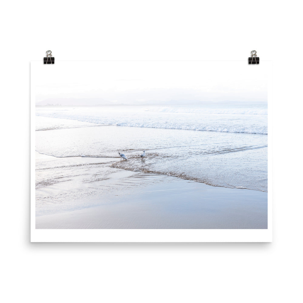 Wall art photography print poster of two birds on Byron Bay beach in Australia