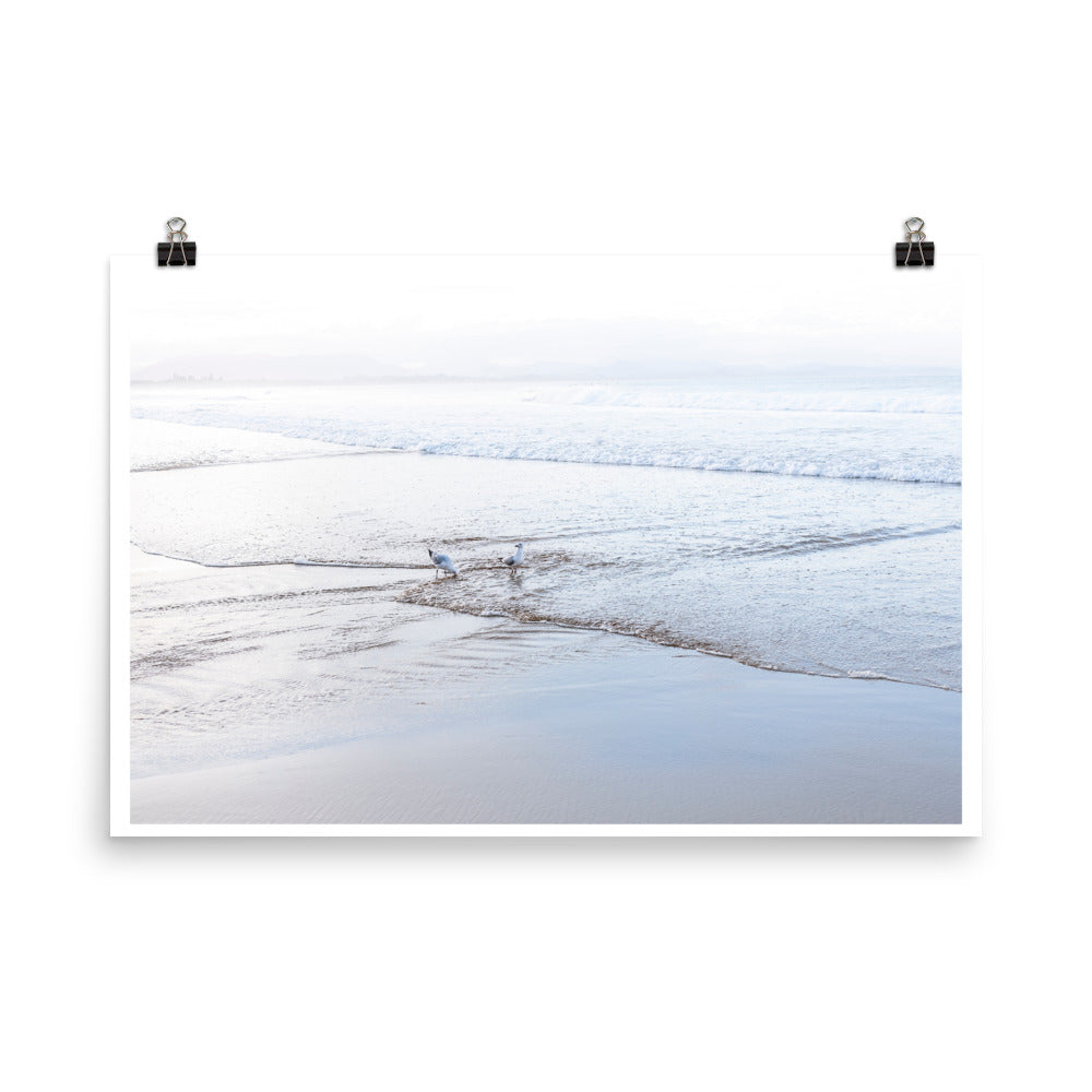 Wall art photography print poster of two birds on Byron Bay beach in Australia