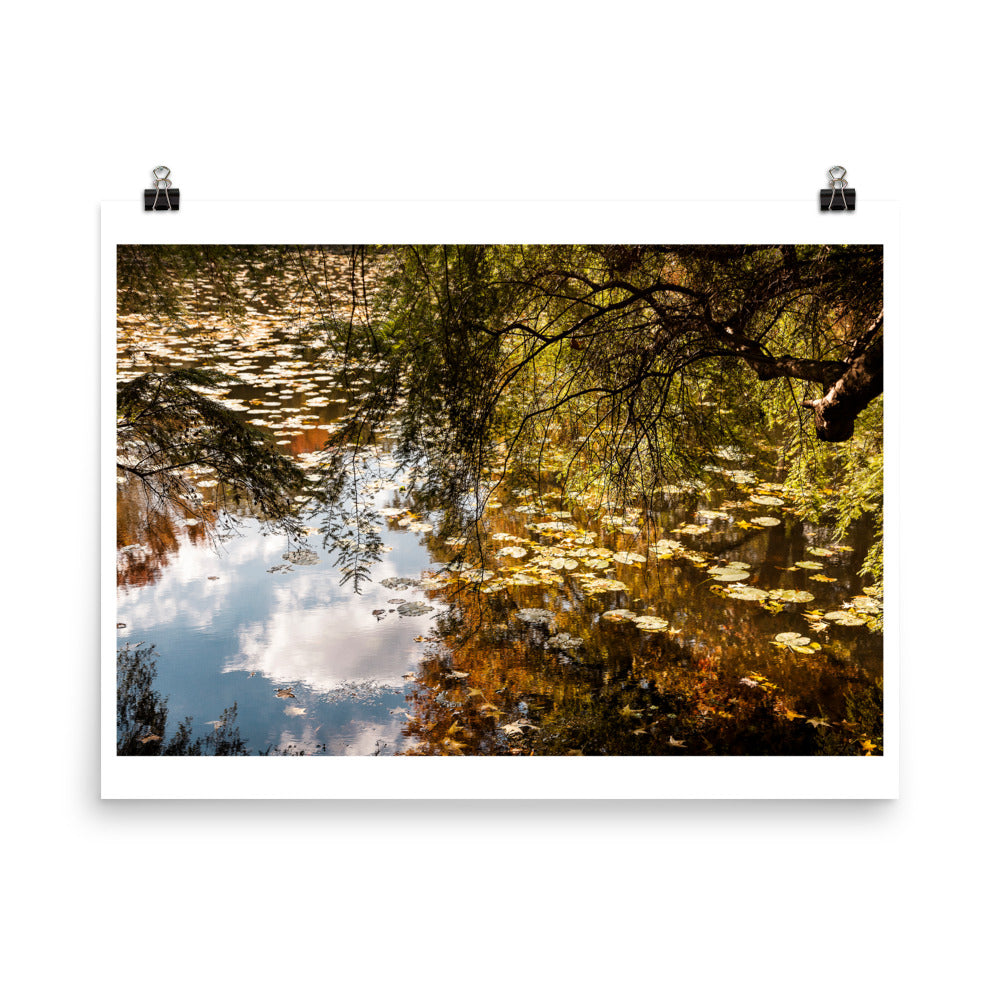 Wall art color photography print poster of Fall leaves on a lake in Connecticut, USA