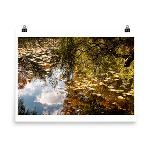 Wall art color photography print poster of Fall leaves on a lake in Connecticut, USA