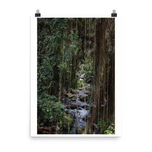 Wall art color photography print poster of Pakerisan River and lush landscape in Bali, Indonesia.