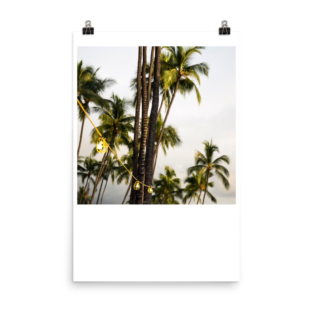 Wall art color photography print poster of string lights in front o coconut trees in Kona Hawaii