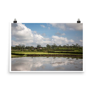 Wall art color photography print poster of a rice plantation by the water in Ubud Indonesia