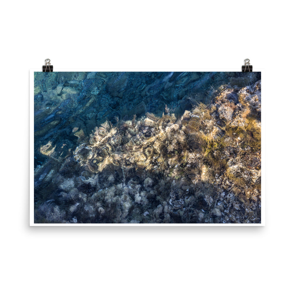 Wall art color photography print poster of algae and shells underwater in the ocean on Ftelia Beach in Mykonos Greece